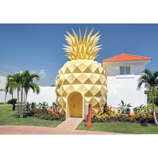 Pineapple NHPC 